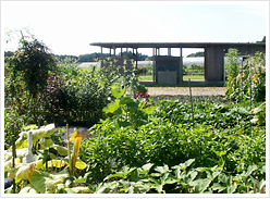 クラインガルデン