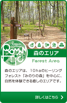 森のエリアは、１０ｈａのヒーリングフォレスト「みのりの森」を中心に、自然を体験できる癒しのエリアです。